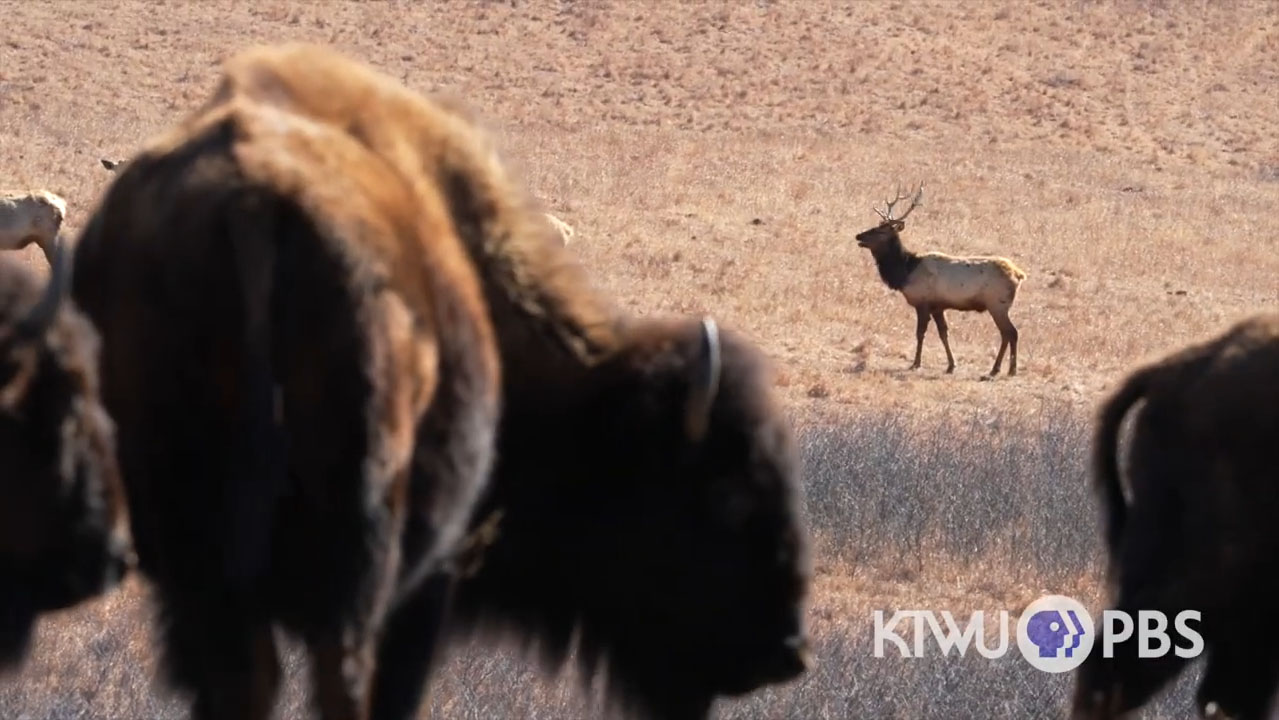 Home on the Range Thumbnail