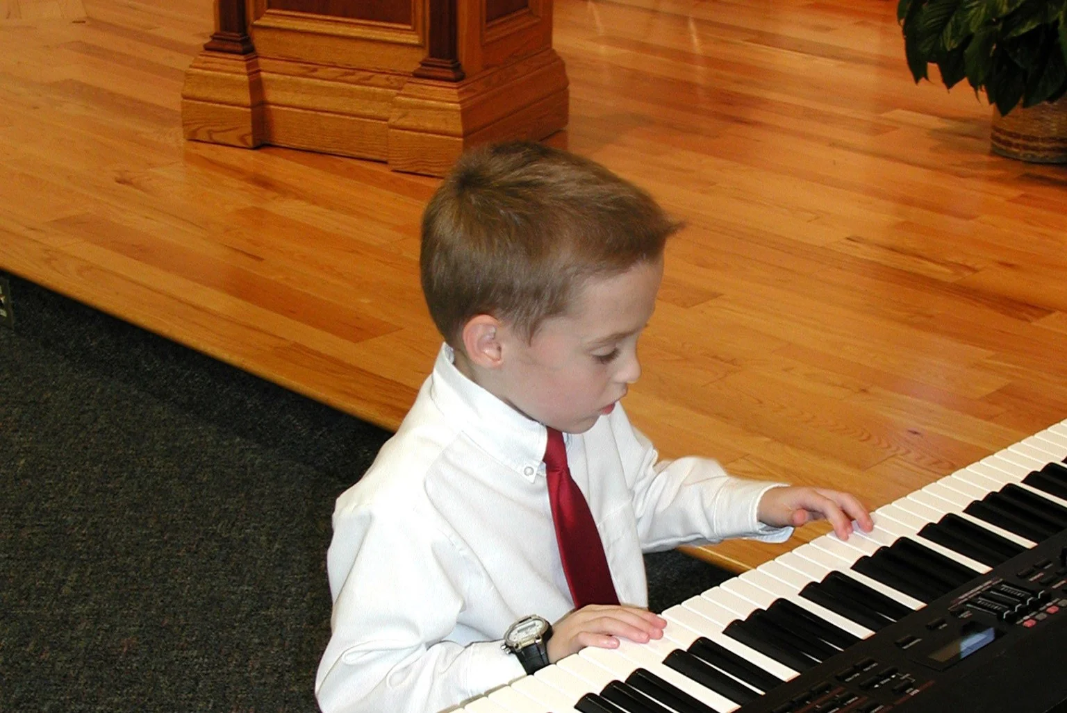 web headerBIO2 2003 piano s plays web headerBIO2 2003 piano s plays